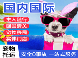梅州梅县机场托运国际宠物托运 【国